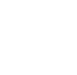 Logo-Footer